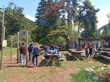 ΑΡΒΑΝΙΤΣΑ 1